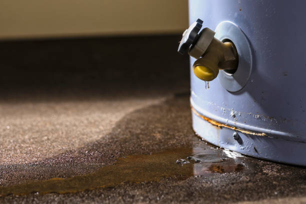 Best Residential water damage restoration  in Fenton, MI