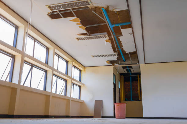 Best Water damage cleanup near me  in Fenton, MI