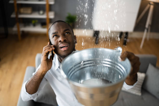 Best Flood restoration services  in Fenton, MI