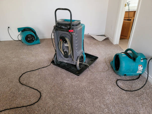Best Basement water damage restoration  in Fenton, MI