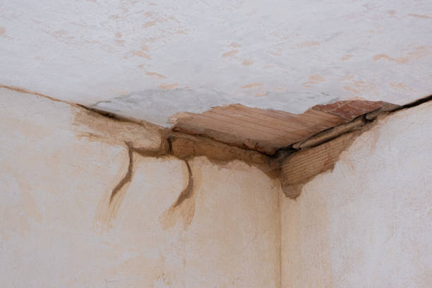 Best Water damage contractors near me  in Fenton, MI