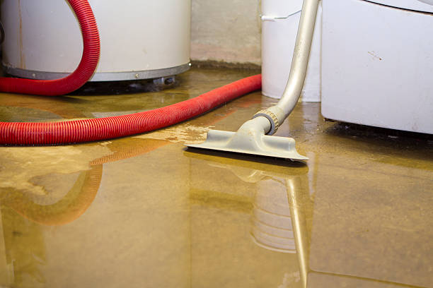 Best Flood damage cleanup  in Fenton, MI