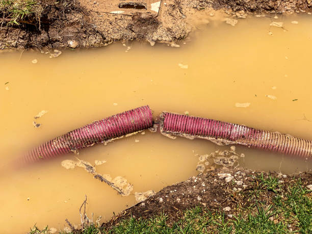 Best Professional water damage repair  in Fenton, MI