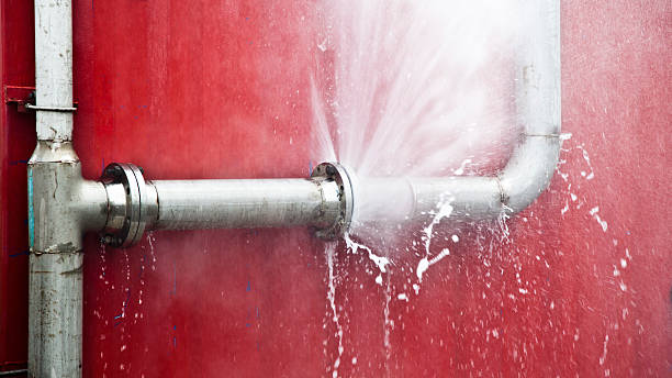 Best Local water damage restoration  in Fenton, MI