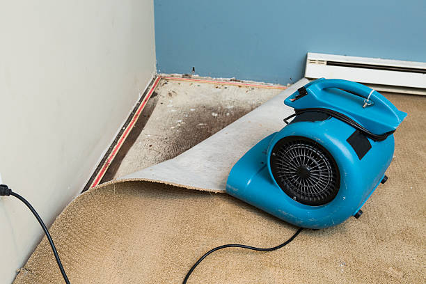 Best Sewage cleanup and water damage restoration  in Fenton, MI