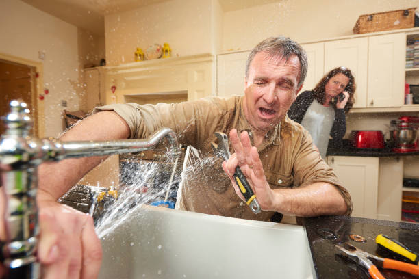 Best Flooded house restoration  in Fenton, MI